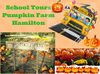 School Tour Pumpkin Farm Hamilton Image